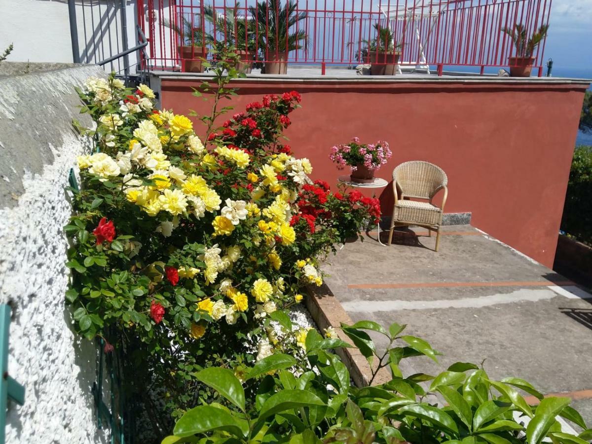 La Marocella Villa Capri Bagian luar foto